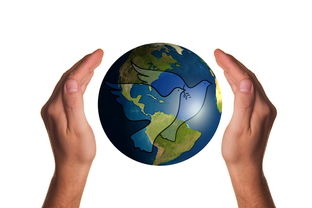 db gaming 官网-波兰队赛制分析：如何在团体赛制中保持稳定的表现，波兰球队如何  第2张